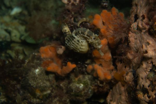 Unknown Location - Media 3