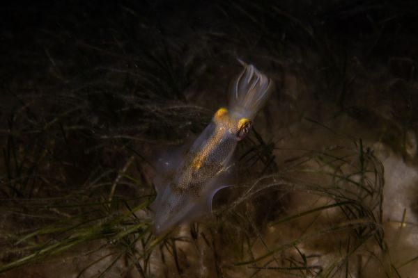 Unknown Location - Media 4