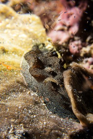 IMG_7271.jpg