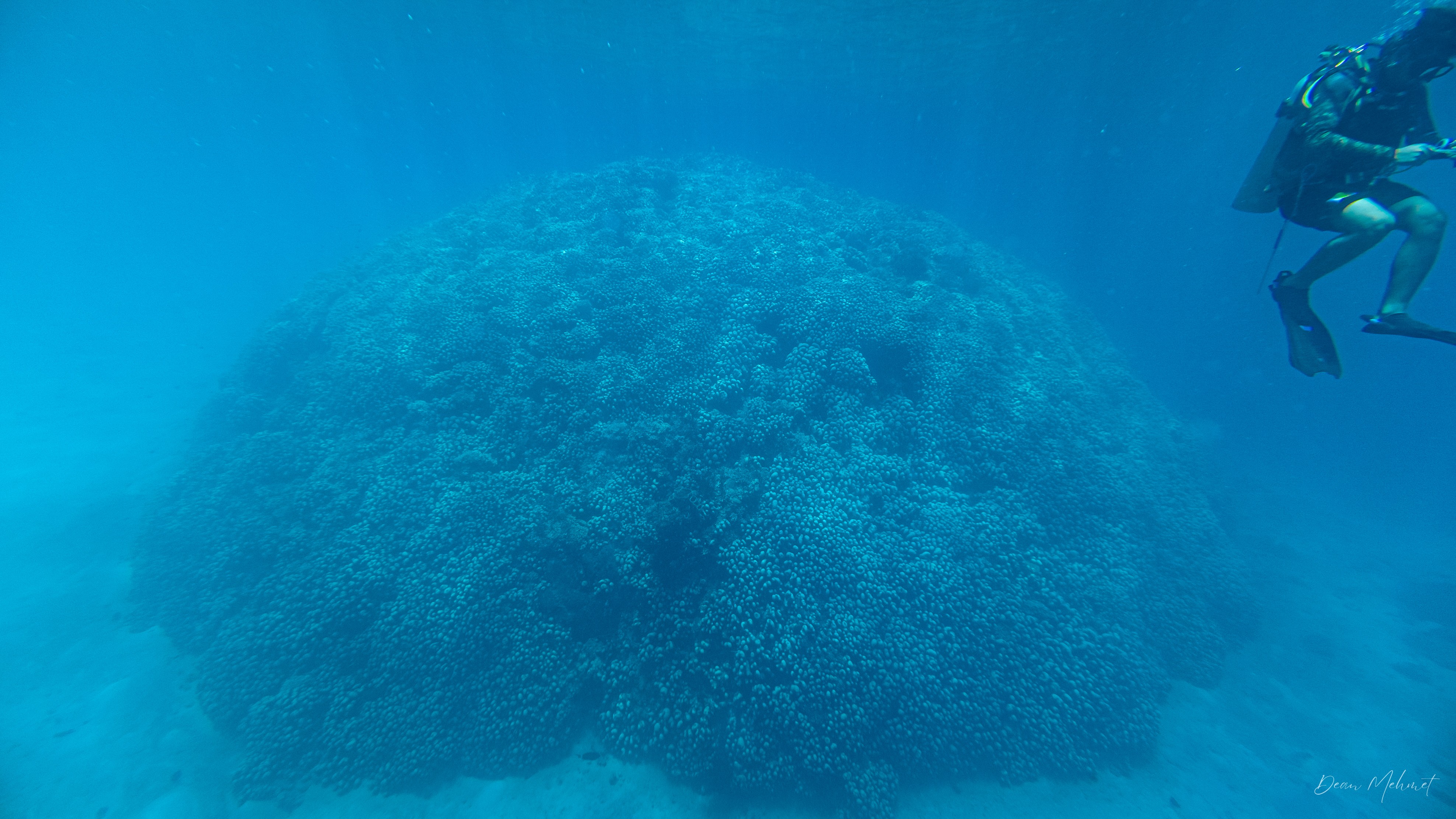 DJI_20261004124815_0406_D.jpg