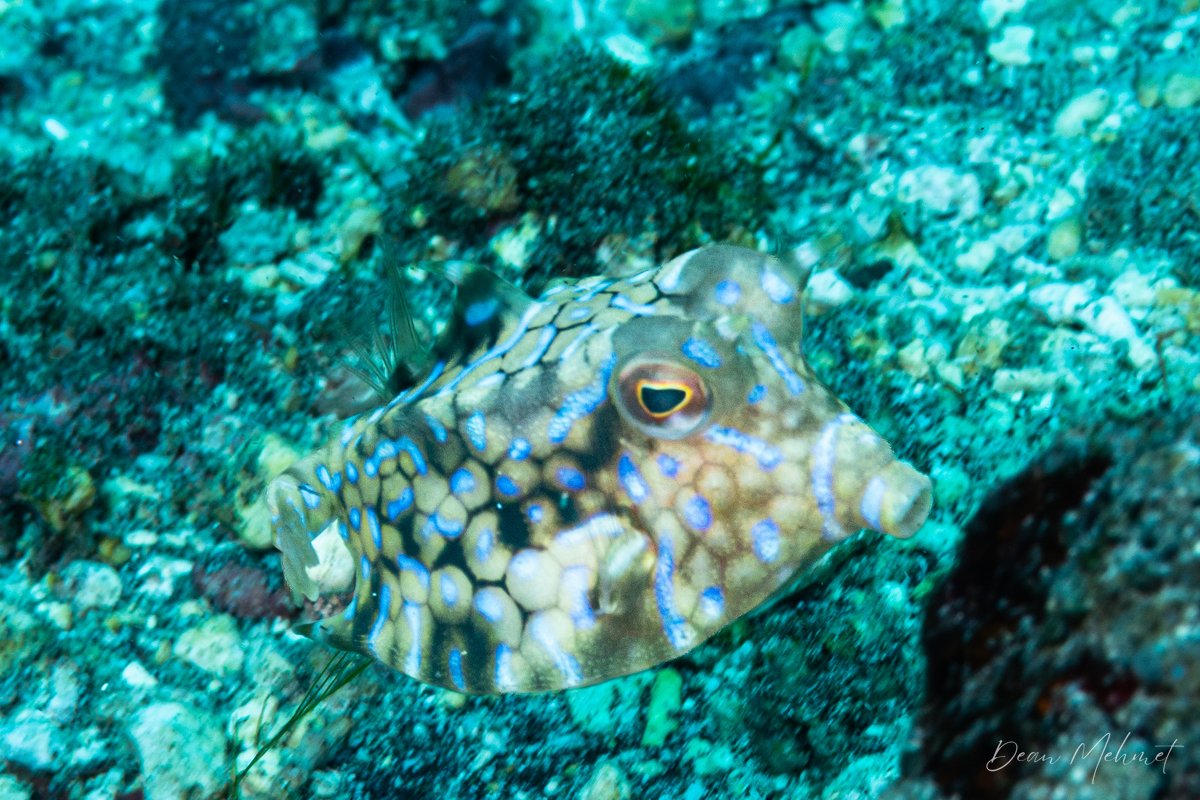 Nusa Lembongan hero image