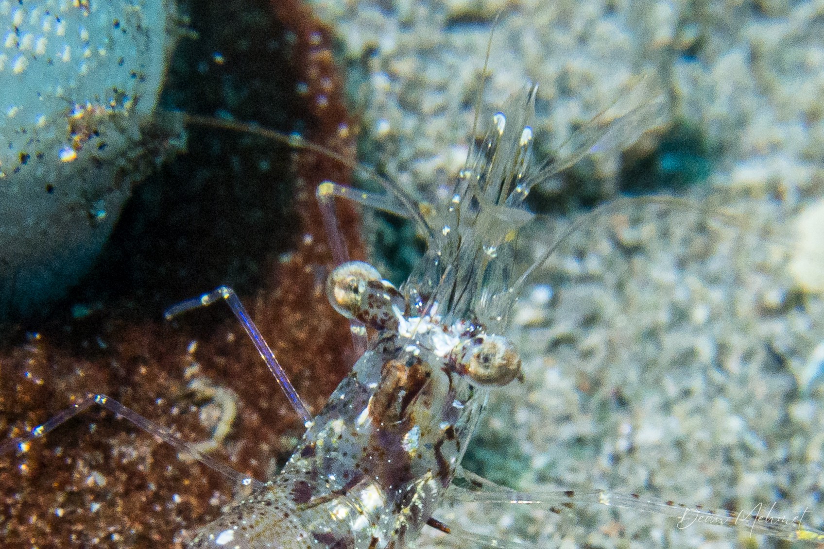 IMG_4794.jpg