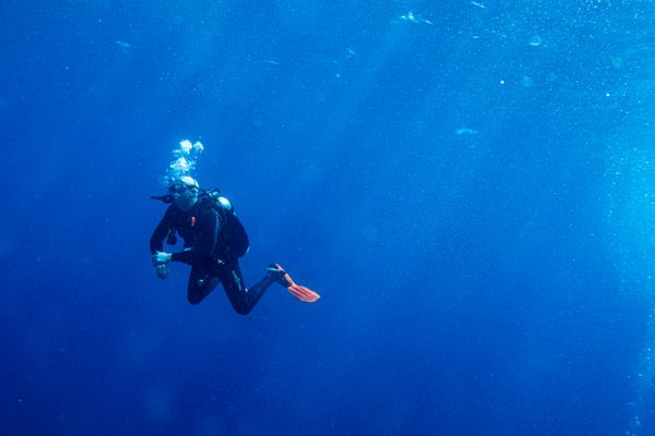 Dive 1 encounter 31