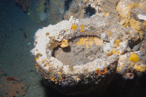 HMAS Swan encounter 47