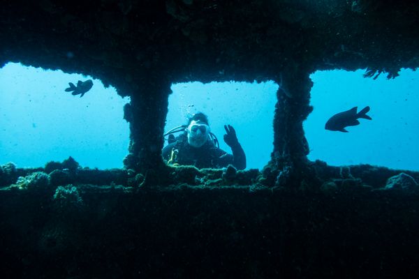 HMAS Swan encounter 64
